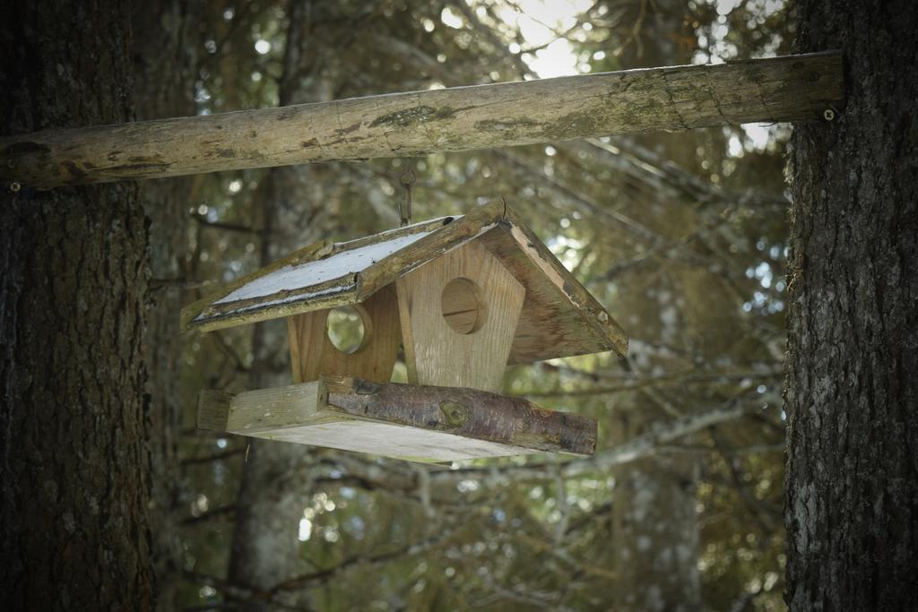 Chalet Pokljuka Goreljek Bagian luar foto